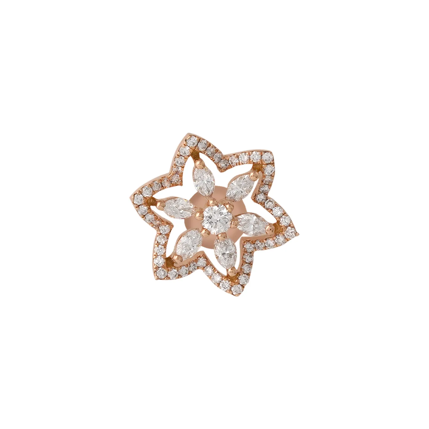Amaryllis – the floral bloom with dazzling diamonds.