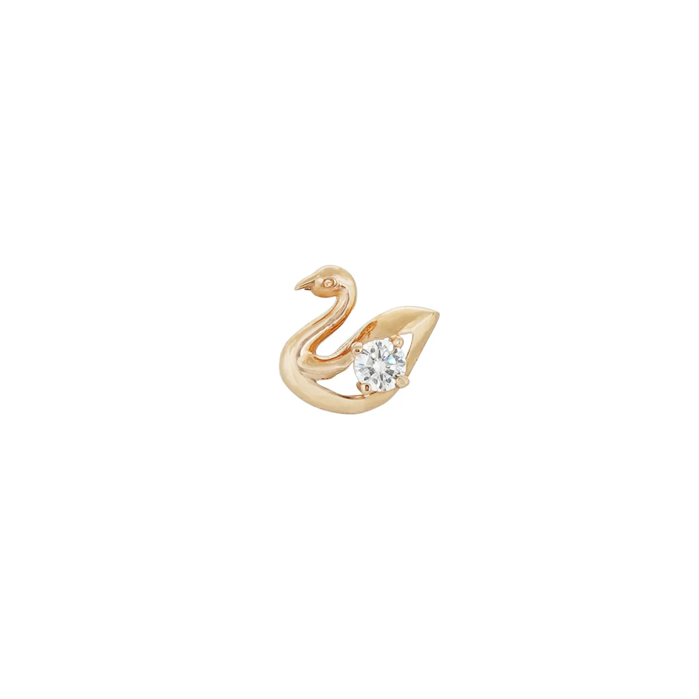 Anatra – Wings of freedom!