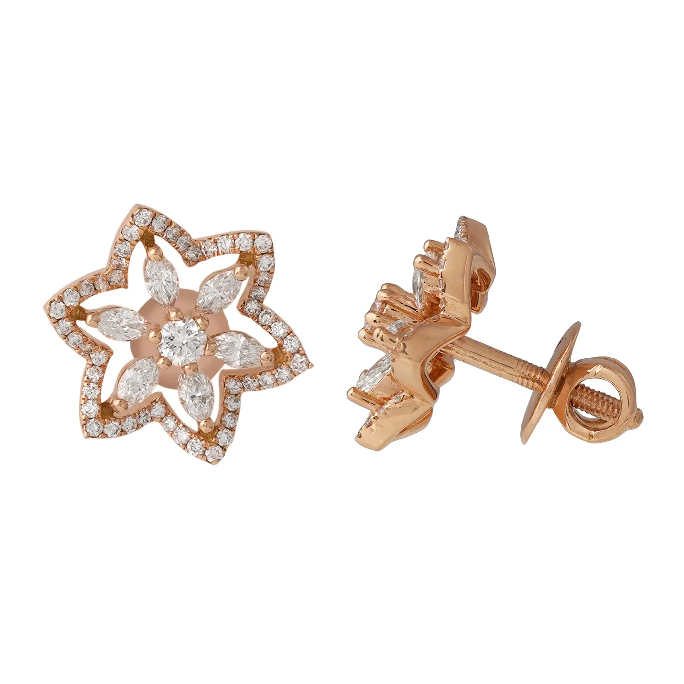 Amaryllis – the floral bloom with dazzling diamonds.